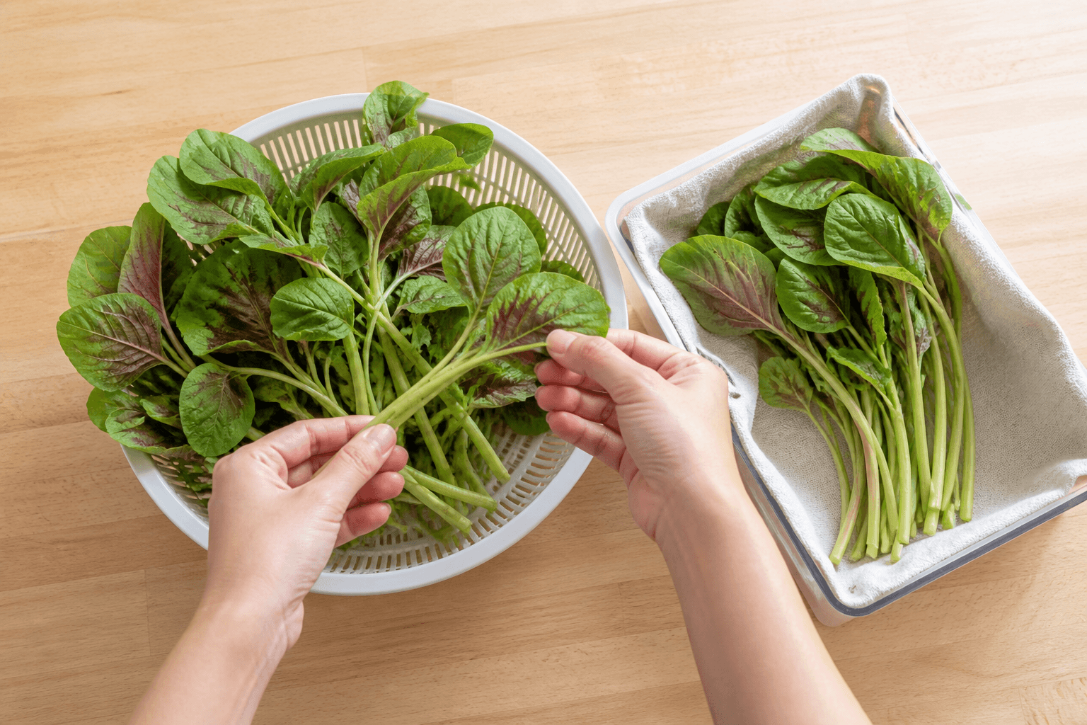 莧菜挑選與食用情境